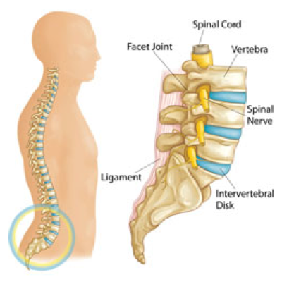 Back Pain