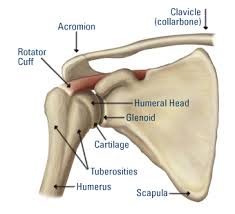 Back Pain